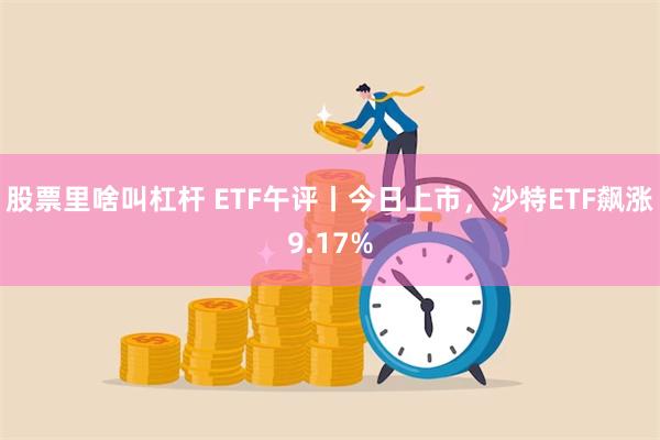 股票里啥叫杠杆 ETF午评丨今日上市，沙特ETF飙涨9.17%