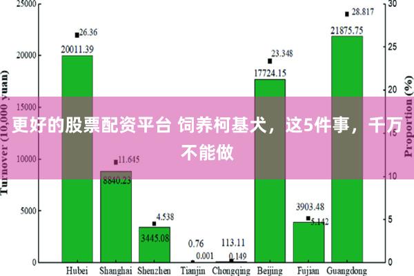 更好的股票配资平台 饲养柯基犬，这5件事，千万不能做