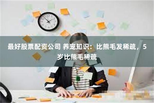 最好股票配资公司 养宠知识：比熊毛发稀疏，5岁比熊毛稀疏