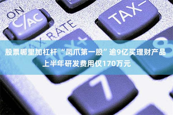 股票哪里加杠杆 “凤爪第一股”逾9亿买理财产品 上半年研发费用仅170万元