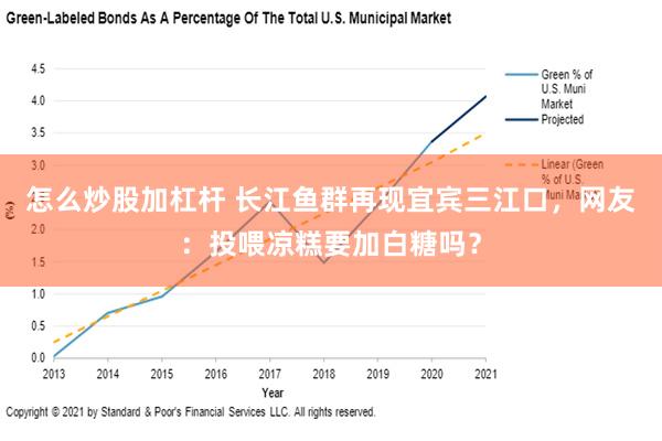 怎么炒股加杠杆 长江鱼群再现宜宾三江口，网友：投喂凉糕要加白糖吗？