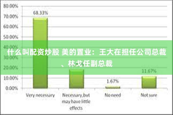 什么叫配资炒股 美的置业：王大在担任公司总裁、林戈任副总裁