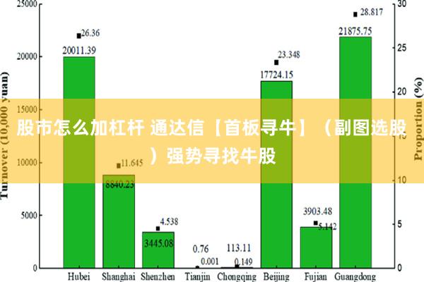 股市怎么加杠杆 通达信【首板寻牛】（副图选股）强势寻找牛股