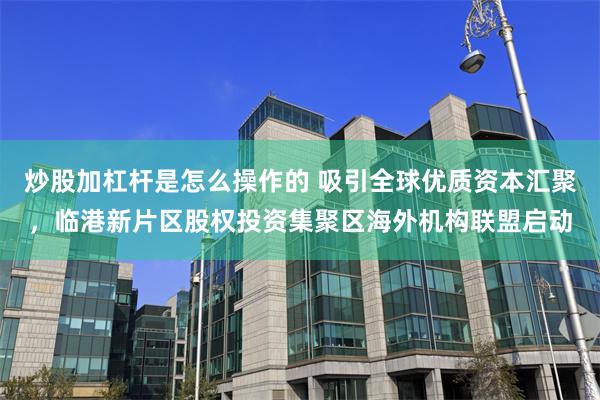 炒股加杠杆是怎么操作的 吸引全球优质资本汇聚，临港新片区股权投资集聚区海外机构联盟启动