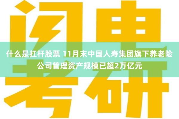 什么是扛杆股票 11月末中国人寿集团旗下养老险公司管理资产规模已超2万亿元