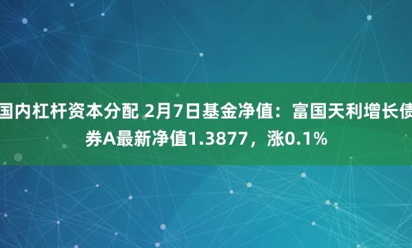 国内杠杆资本分配 2月7日基金净值：富国天利增长债券A最新净值1.3877，涨0.1%