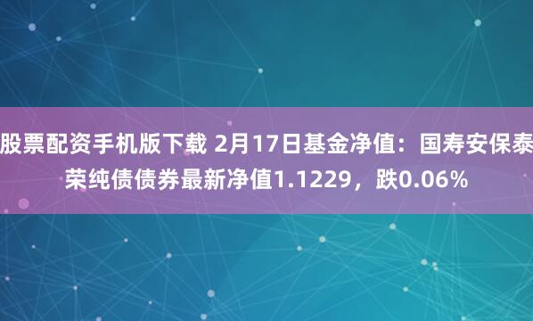 股票配资手机版下载 2月17日基金净值：国寿安保泰荣纯债债券最新净值1.1229，跌0.06%