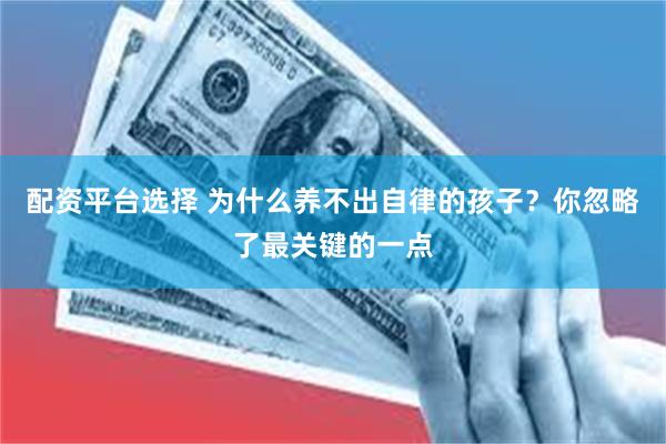 配资平台选择 为什么养不出自律的孩子？你忽略了最关键的一点