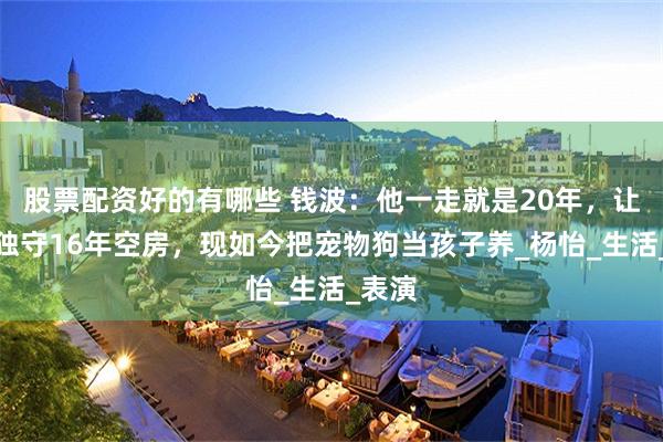 股票配资好的有哪些 钱波：他一走就是20年，让妻子独守16年空房，现如今把宠物狗当孩子养_杨怡_生活_表演