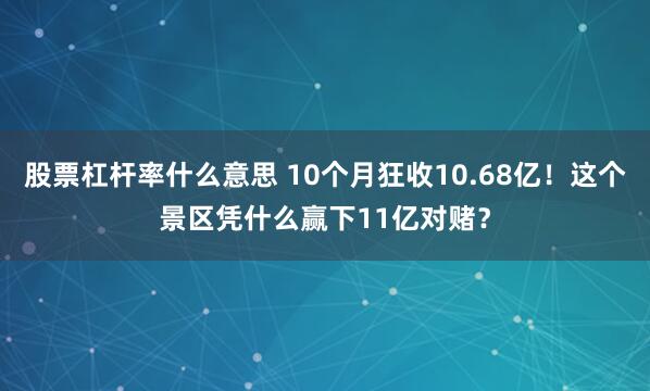 股票杠杆率什么意思 10个月狂收10.68亿！这个景区凭什么赢下11亿对赌？